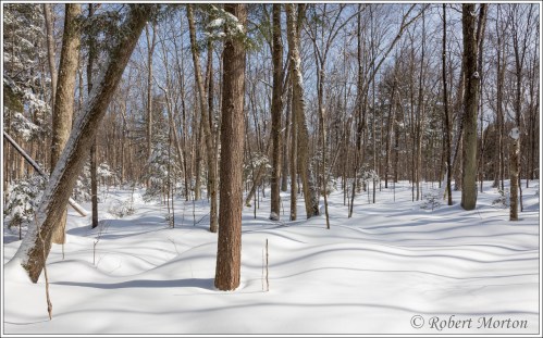 winter-perfect