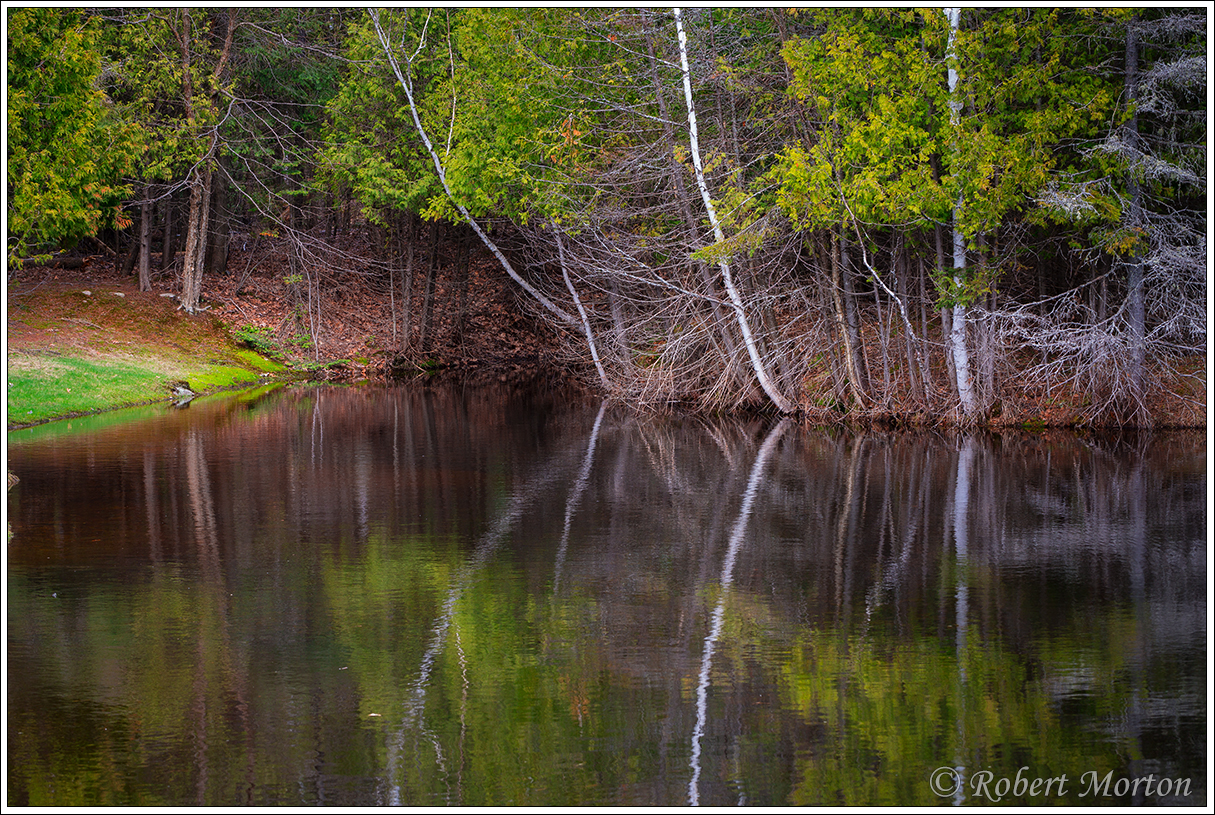 After The Snow Leaves | photodyssey